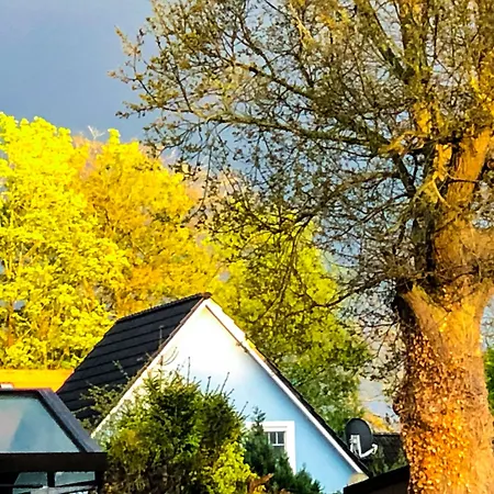 Hotel Hotel-marks-garni 4*