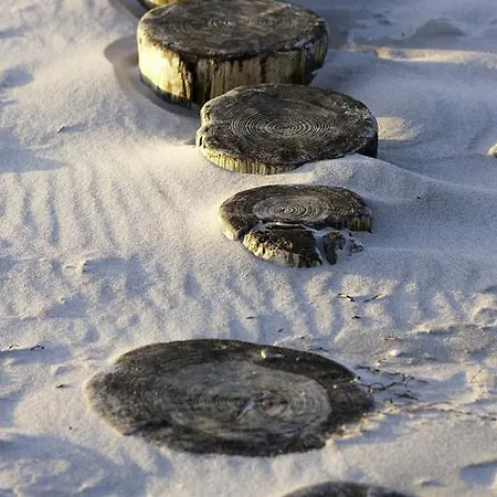 Hotel Hotel-marks-garni Zingst