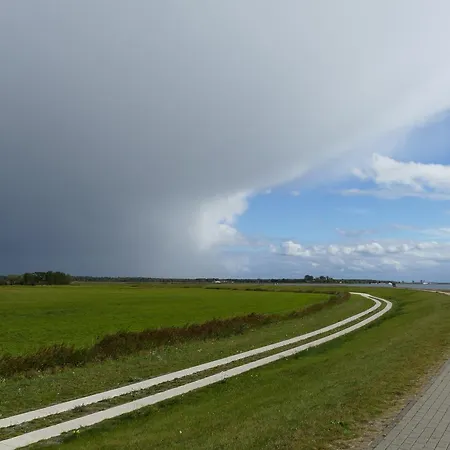 Hotel Hotel-marks-garni Zingst