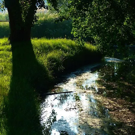 Hotel-marks-garni 4* זינקסט