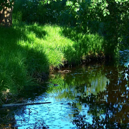 Hotel Hotel-marks-garni Zingst