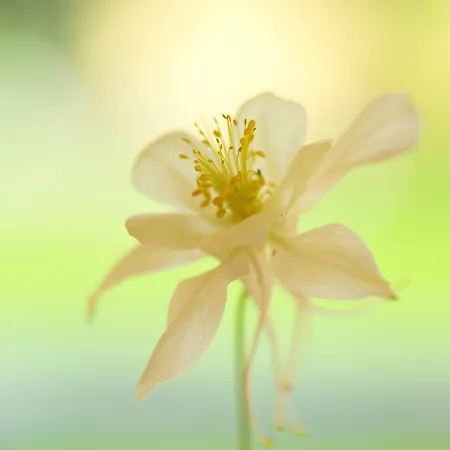 Hotel Hotel-marks-garni Zingst