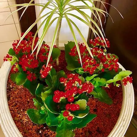 Hotel-marks-garni מלון 4*