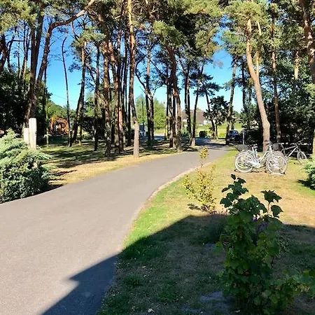 מלון Hotel-marks-garni 4*