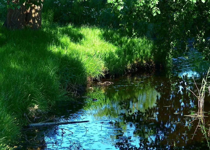 Hotel Hotel-marks-garni Ostseeheilbad Zingst