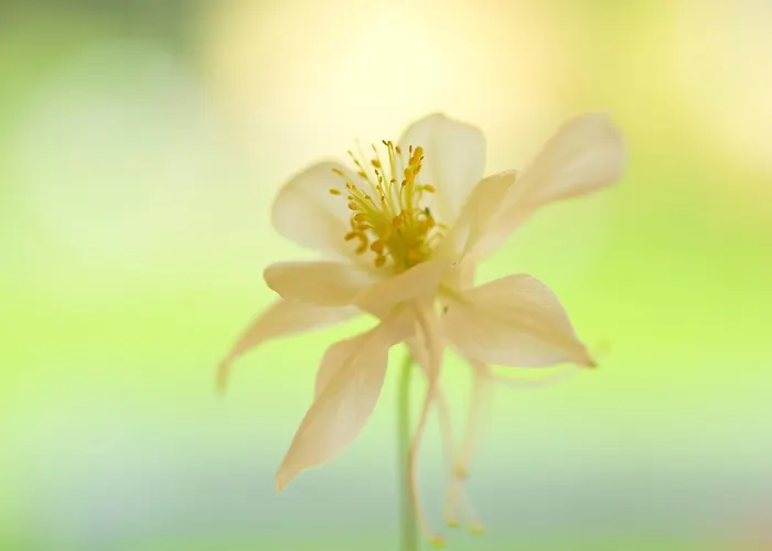 Hotel Hotel-marks-garni Ostseeheilbad Zingst